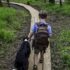 Walking the Dog