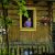 The Neighbor