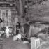 Zab Barn