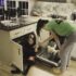 Rainy Saturday Chores