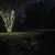 Outside Lighting
