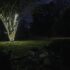 Outside Lighting