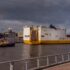 Savannah, Day 2