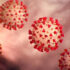Virus