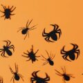 black paper spiders on orange background