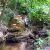 Playing in the Creek