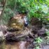 Playing in the Creek