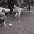 Family Sports