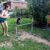Working with the Dog