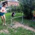 Working with the Dog
