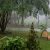 Rainy Monday
