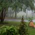 Rainy Monday