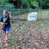 Sunday in the Fall