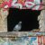 Birds and Testing