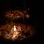 Bonfire