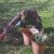 Pre-Christmas Yardwork