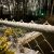 Snowfall 2021