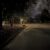 Evening Walk