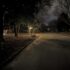 Evening Walk