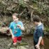 First Spring Sunday 2021