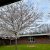 Spring at School