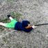 Park and Shooting