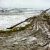 Walk in Melting Snow