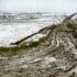 Walk in Melting Snow