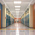 Morning in the Hall
