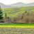 A Walk in the Fields