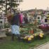 Cleaning Graves