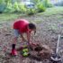 Boys, Dogs, and Holes