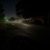 Evening Walk