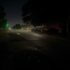 Evening Walk