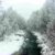 Hoarfrost