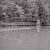 Steele’s Creek