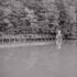 Steele’s Creek