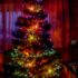 Decorating the Tree