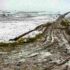 Melting Snow