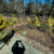 Saturday in the Yard