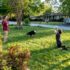 After Dinner Play, Redux