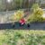 Early Spring Saturday