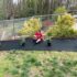 Early Spring Saturday