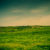 Fields, 20 Years Ago