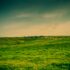 Fields, 20 Years Ago