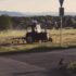 Evening Walk