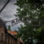 Auschwitz Edits