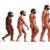 Sapiens Thoughts