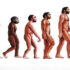 Sapiens Thoughts