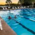 Evening Swim Plus